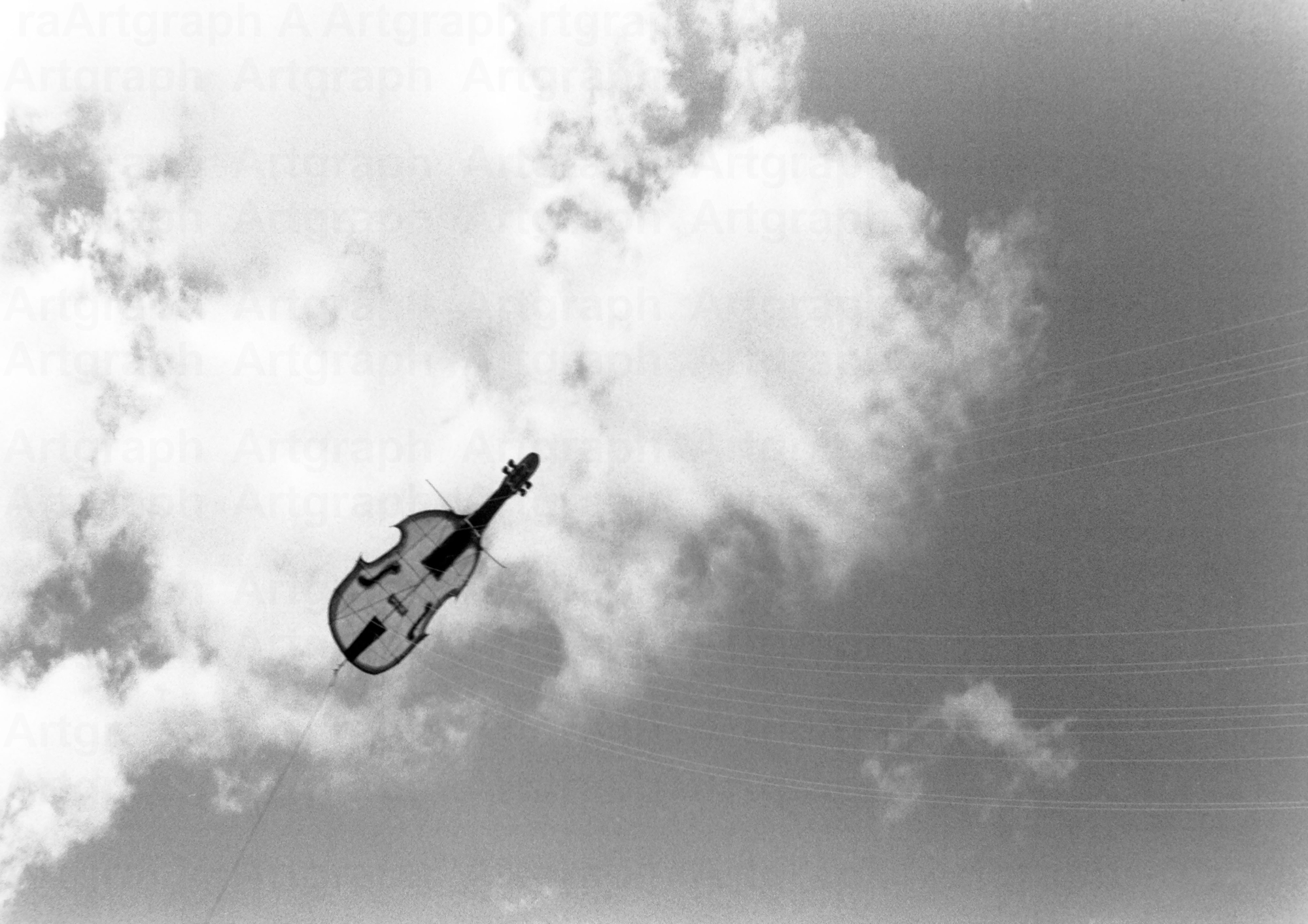 Junko Sakamoto
itle " Harmony "
-Gelatin Silver Print- 