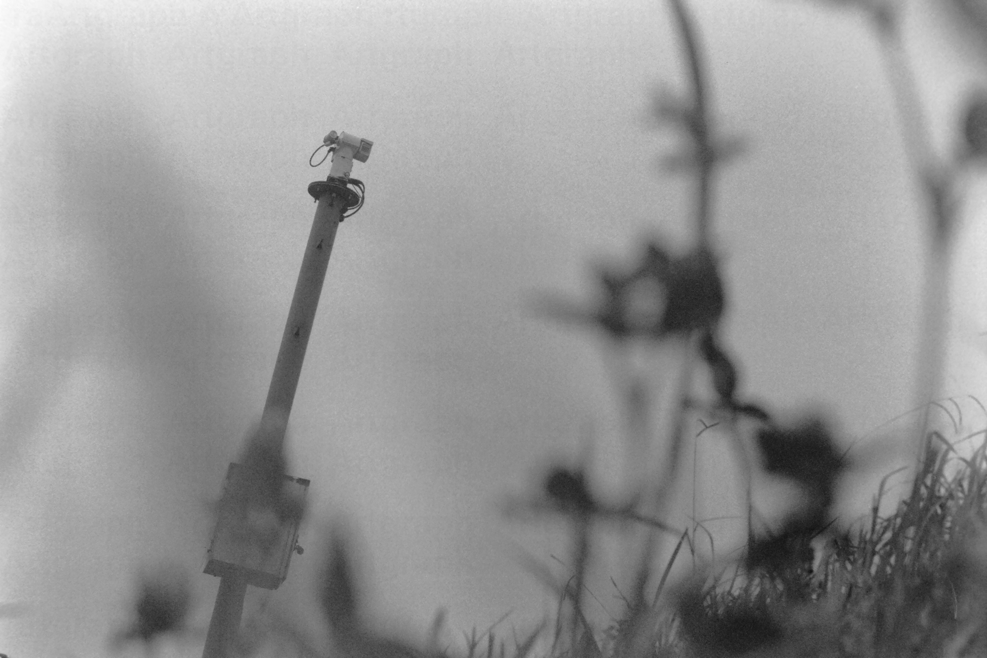 Junko Sakamoto
title " persue "
-Gelatin Silver Print- 