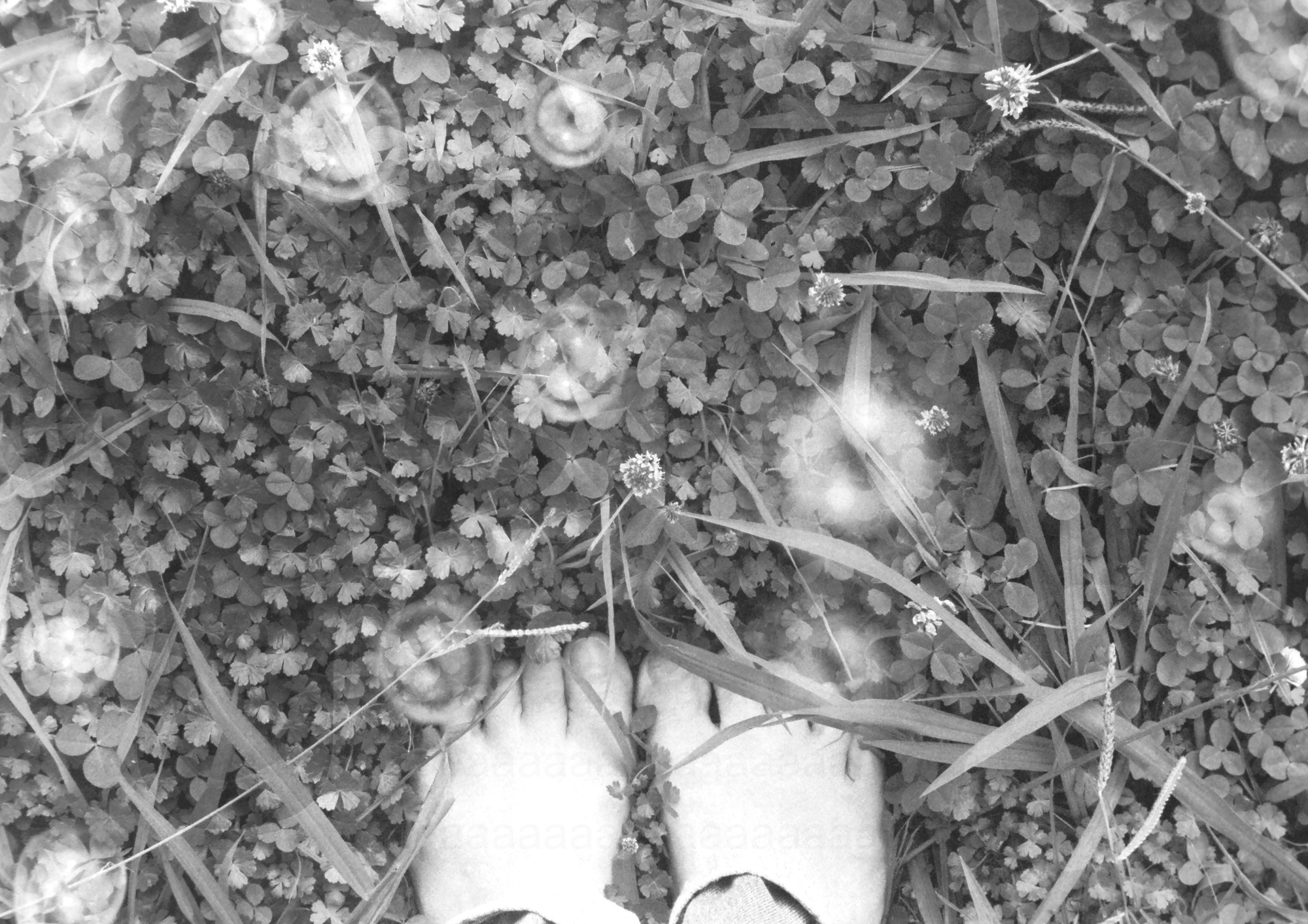 Junko Sakamoto 
 title " placd "
 -Gelatin Silver Print-